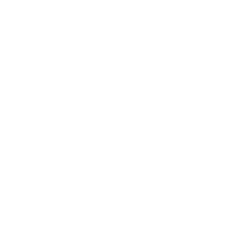 Orchestra Bohémien